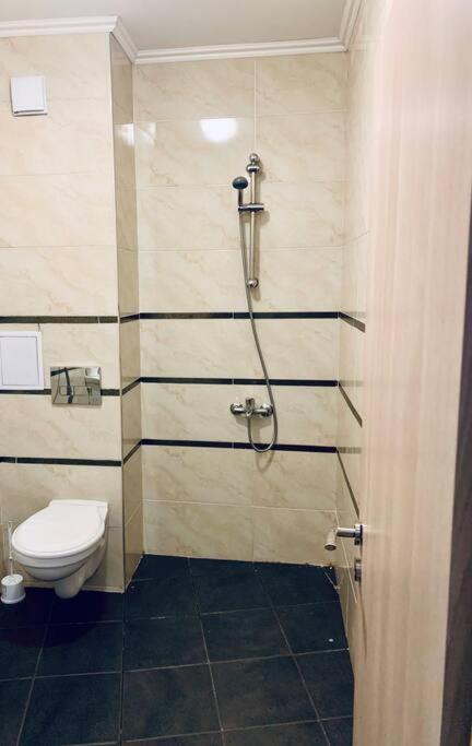 סופיה Romantic Rose Apartment מראה חיצוני תמונה